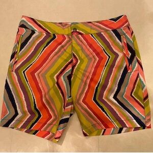 Multicolor Men's Swim Board Shorts